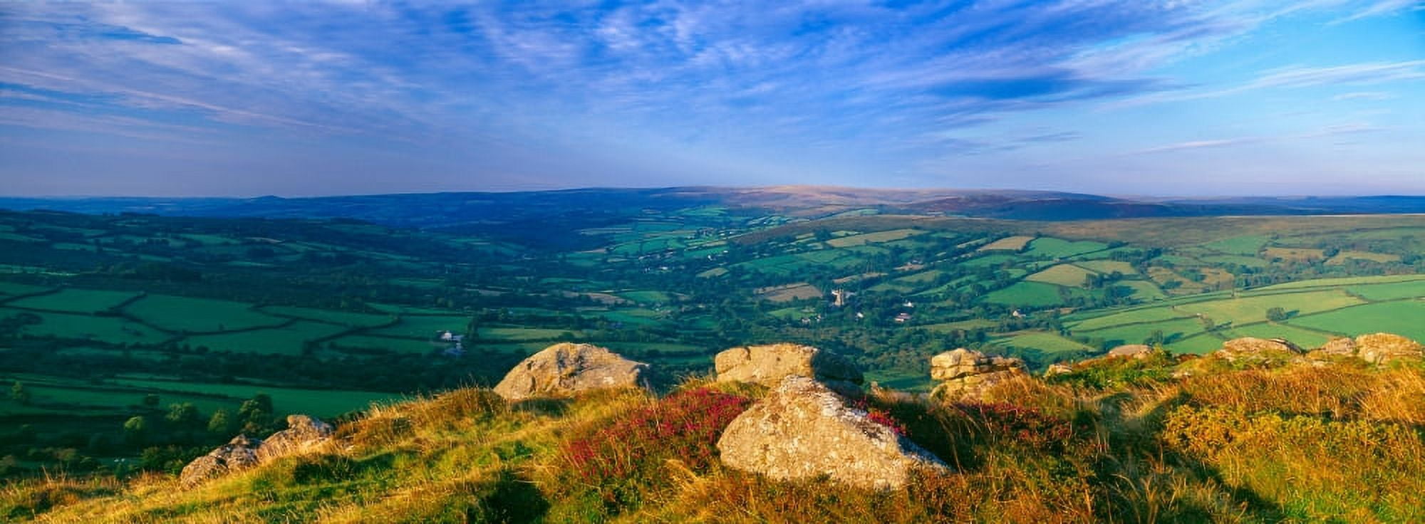 Landscape viewed from Honeybag Tor Dartmoor Devon England Canvas Art - Panoramic Images (36 x 12)