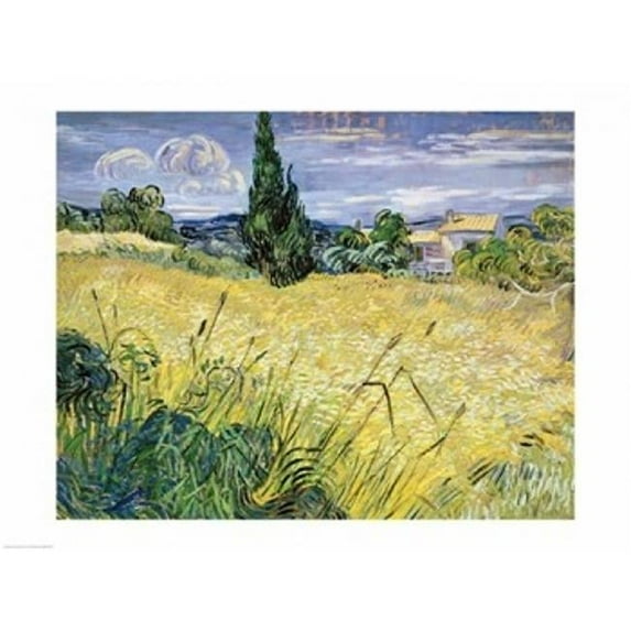 Landscape with Green Corn, 1889 Poster Print by Vincent Van Gogh (36 x 24)