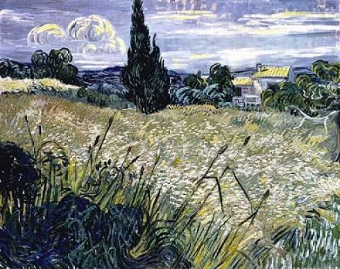 Landscape with Green Corn Canvas Art - Vincent Van Gogh (22 x 28)