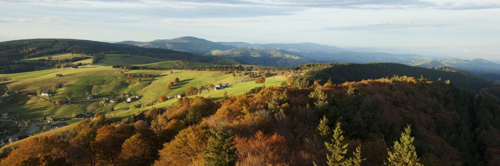 Landscape with autumn colours near Hofsgrund Black Forest Germany Canvas Art - Carl Bruemmer Design Pics (26 x 8)