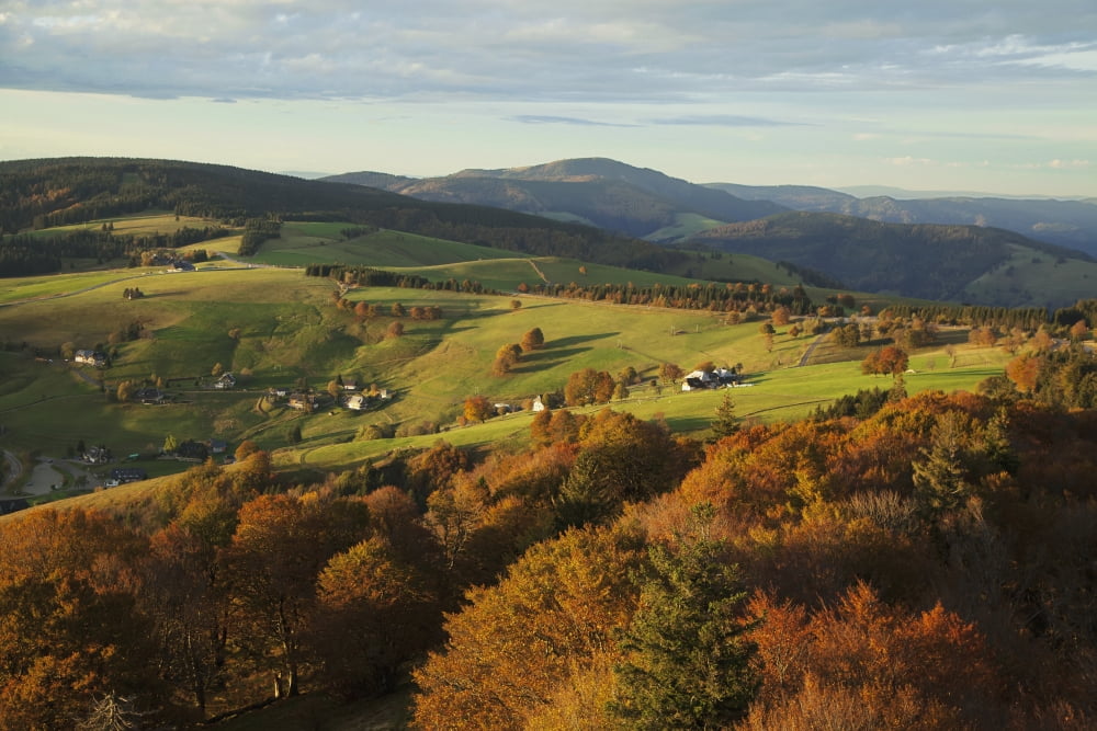 Landscape with autumn colours near Hofsgrund Black Forest Germany Canvas Art - Carl Bruemmer Design Pics (38 x 24)