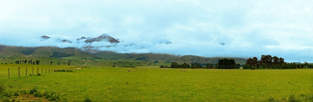Landscape with mountain range in the background Fiordland National Park South Island New Zealand Canvas Art - Panoramic Images (36 x 12)