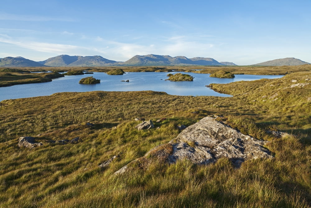 Landscape with mountains in the distance east of Roundstone Connemara County Galway Ireland Canvas Art - Carl Bruemmer Design Pics (38 x 24)