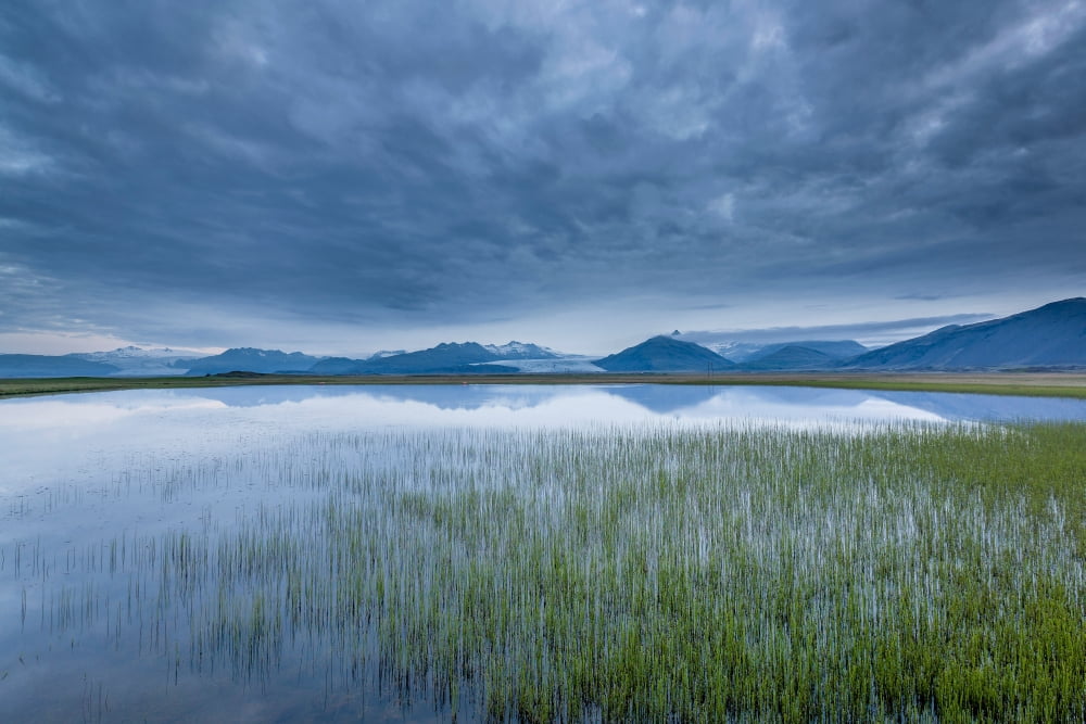 Landscape with water grass and Heinabergsjokull glacier Skalafellsjokull glacier Iceland Canvas Art - Panoramic Images (27 x 9)