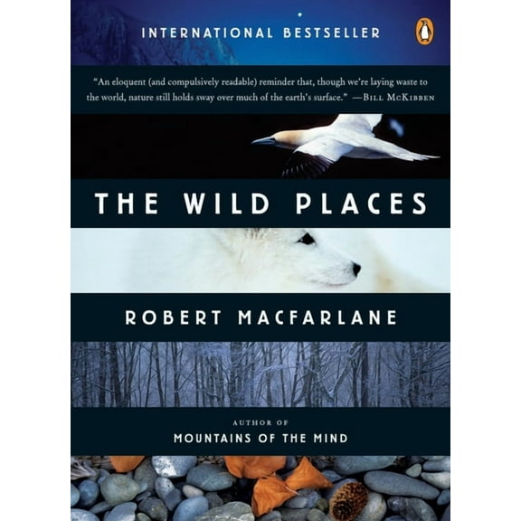 Landscapes The Wild Places, Book 2, (Paperback)