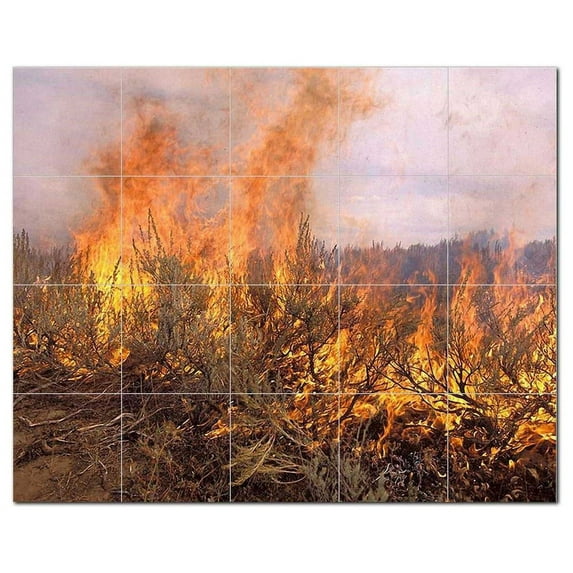 Landscapes Usda Ceramic Tile Mural Kitchen Backsplash Bathroom Shower, 405419-M5