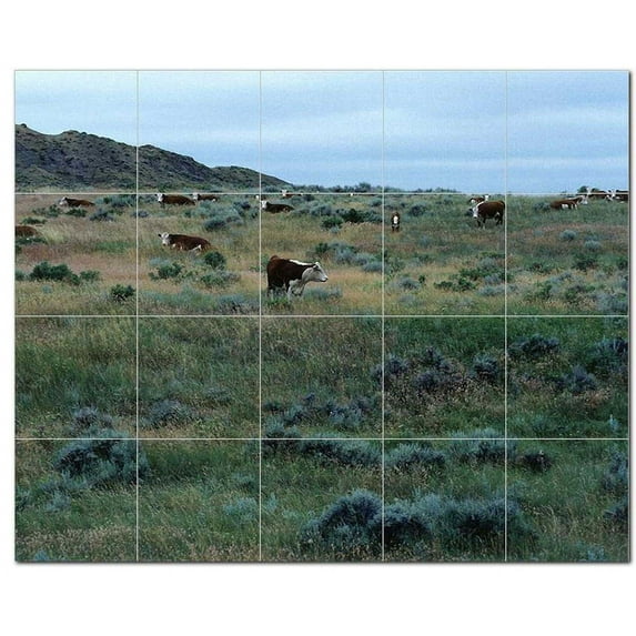 Landscapes Usda Ceramic Tile Mural Kitchen Backsplash Bathroom Shower, 405425-M5