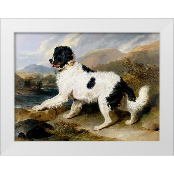 Landseer, Sir Edwin Henry 24x19 White Modern Wood Framed Museum Art Print Titled - A Newfoundland Dog