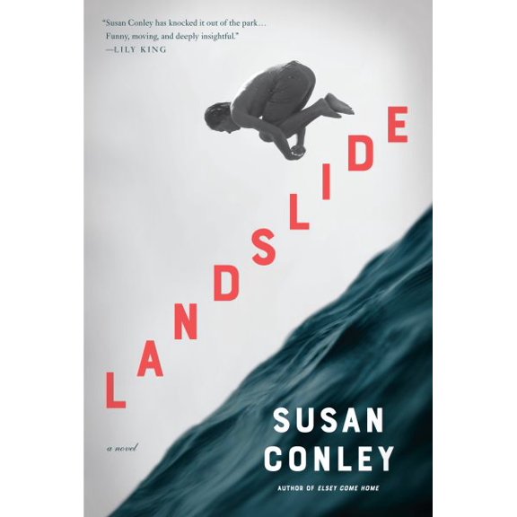 Landslide : A novel (Hardcover)