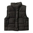 thumbnail image 1 of Landzoo Baby Girls Boys Puffer Vest, Lightweight Warm Vest High Neck Button Casual Fall Winter Clothes, 1 of 8