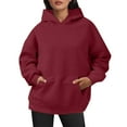 thumbnail image 1 of Landzoo Womens Oversized Sweatshirts Pullover Hoodies Artificial Short Velvet Sweaters Long Sleeve With Pockets Winter Fall Outfits Clothes Warm Breathable Women's Hoodie, 1 of 4