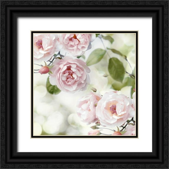 Lane, Joanna 20x20 Black Ornate Wood Framed with Double Matting Museum Art Print Titled - Pink Rose Garden II