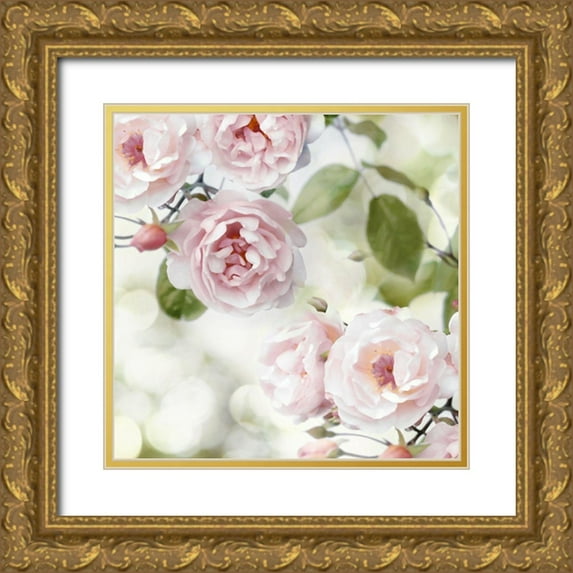 Lane, Joanna 26x26 Gold Ornate Wood Framed with Double Matting Museum Art Print Titled - Pink Rose Garden II