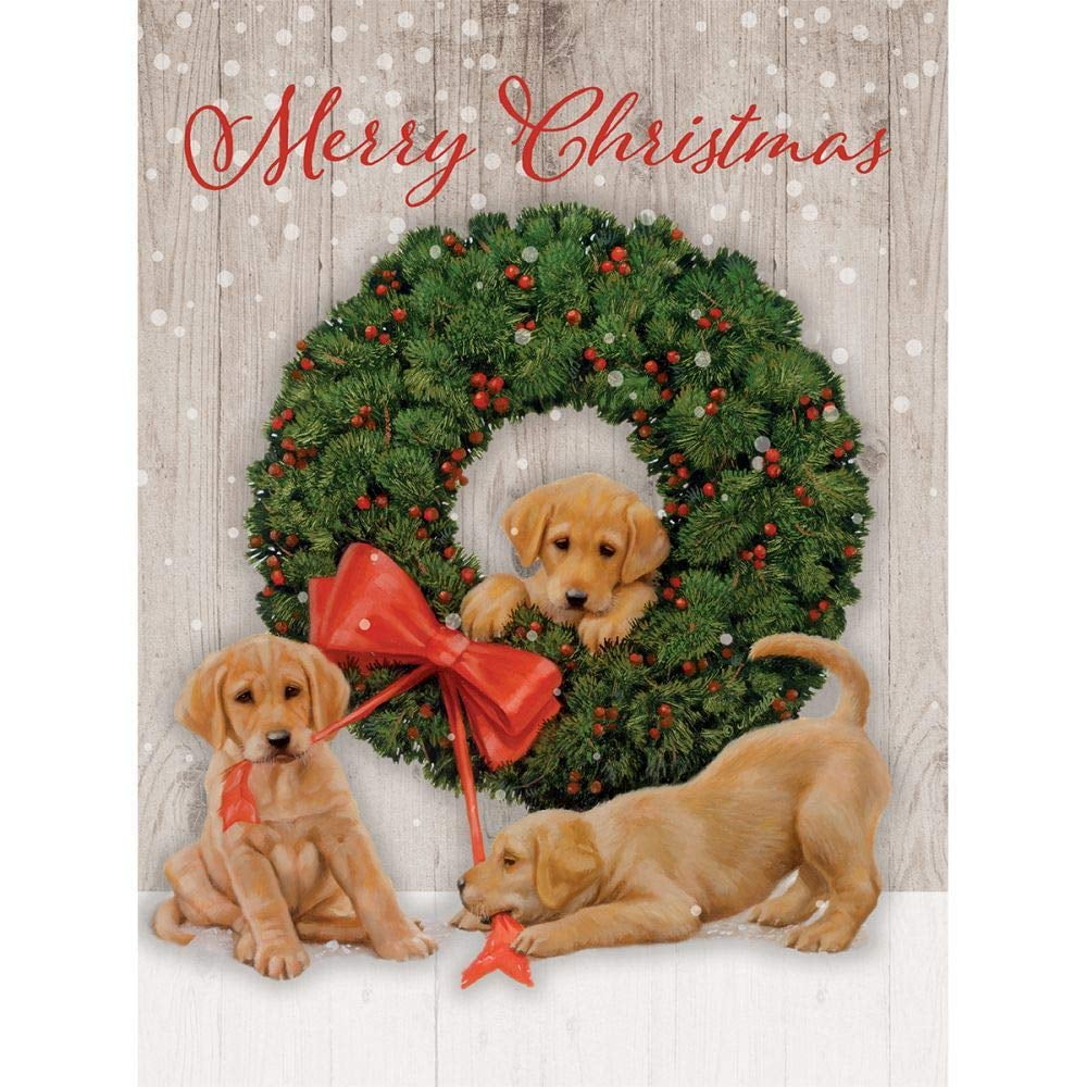 LANG Rejoice Assorted Christmas Cards Box - 18 Cards With Envelopes, Poinsettia Designs