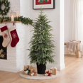 Langford Home 4 Ft Artificial Christmas Tree, PE Tips, Slim Cedar ...