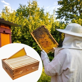 Langstroth 10-Frame Medium Beehive Box with Acrylic Window Beeswax Coated Fir Durable Waterproof Dovetail Construction Includes Frames & Wax Foundations Easy Assembly Beekeeping Supply