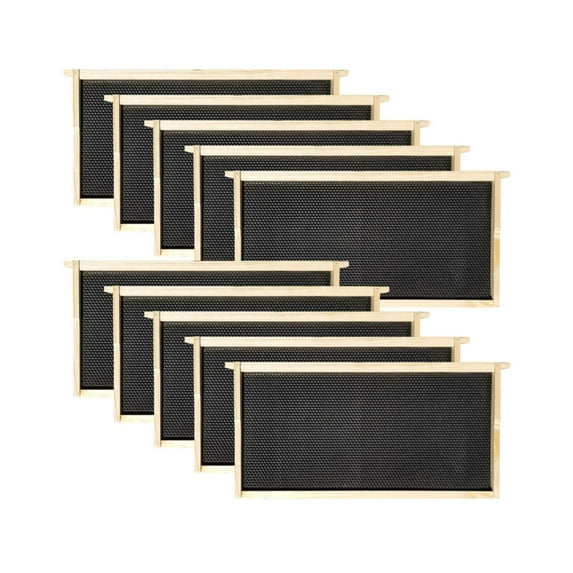 Deep Frames Foundations