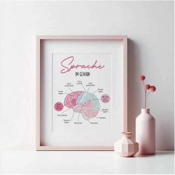 Language In The Brain Anatomy Poster, Speech Therapy Clinical Linguistics Poster, Unframed Paper Poster 8x10in