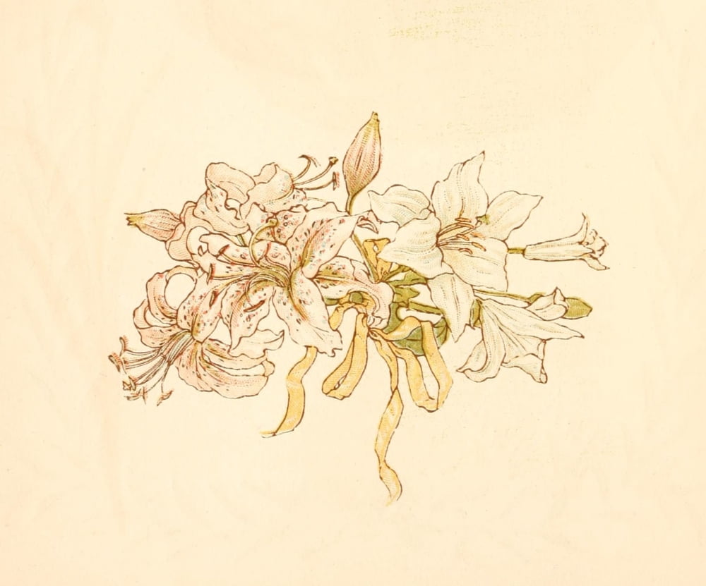Language of Flowers 1884 Bunch of lilies Canvas Art - Kate Greenaway (18 x 24)