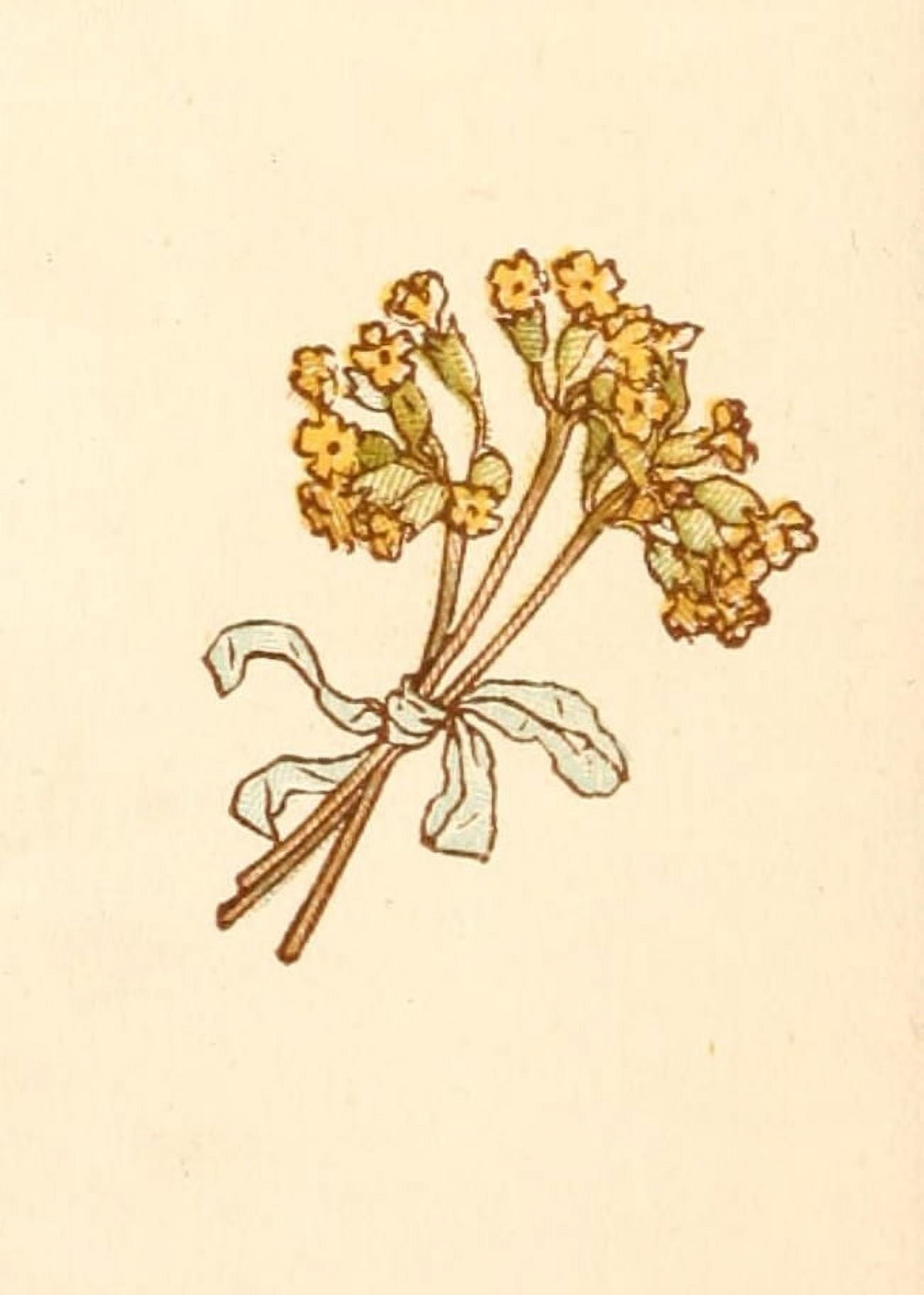Language of Flowers 1884 Yellow posy Canvas Art - Kate Greenaway (24 x 36)