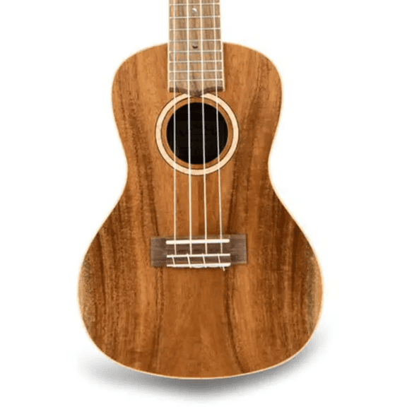 Lanikai All Solid Acacia Concert Ukulele