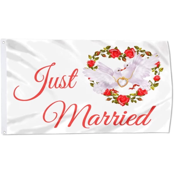 Lanola Just Married Flag Banner Outdoor Indoor Decoration Flag 3x5Feet Double Stitched Polyester with Brass Grommets (white)