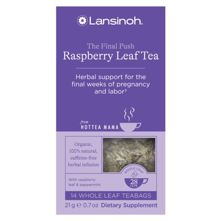 Lansinoh + HotTea Mama Final Push Tea, Red Raspberry Leaf with Peppermint for Labor and Delivery Prep, Caffeine-Free, Sugar-Free, Pregnancy Must Haves, 14 Herbal Tea Sachets
