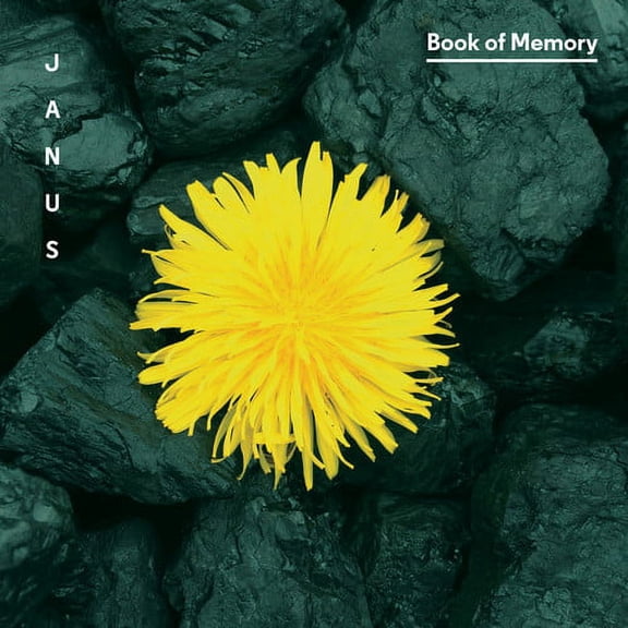 Lansky / Treuting / Janus / Wadden / Meyers - Book of Memory - Music & Performance - CD