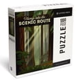 thumbnail image 1 of Lantern Press 1000 Piece Jigsaw Puzzle, Always Take the Scenic Route, Forest, Geometric Lithograph, 1 of 5