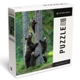 thumbnail image 1 of Lantern Press 1000 Piece Jigsaw Puzzle, Bear Family Climbing Tree, 1 of 5