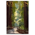 thumbnail image 1 of Lantern Press 12x18 Inch Premium Wood Sign, Ready to Hang Wall Decor, Calaveras Big Trees State Park, California, Pathway in Trees, 1 of 4