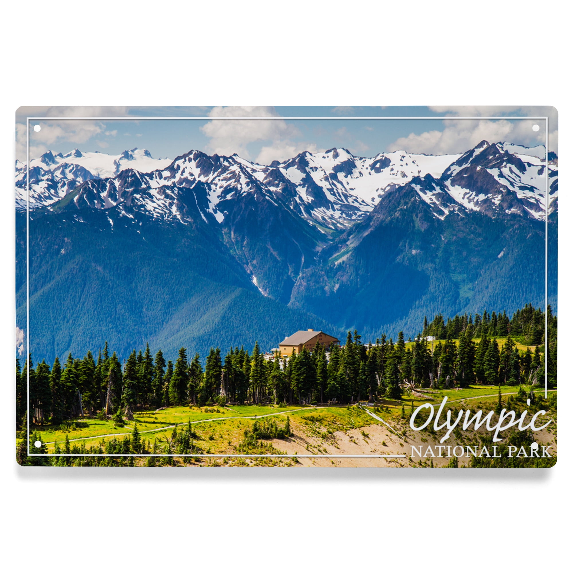 Lantern Press 6x9 Inch Metal Sign, Olympic National Park, Hurricane