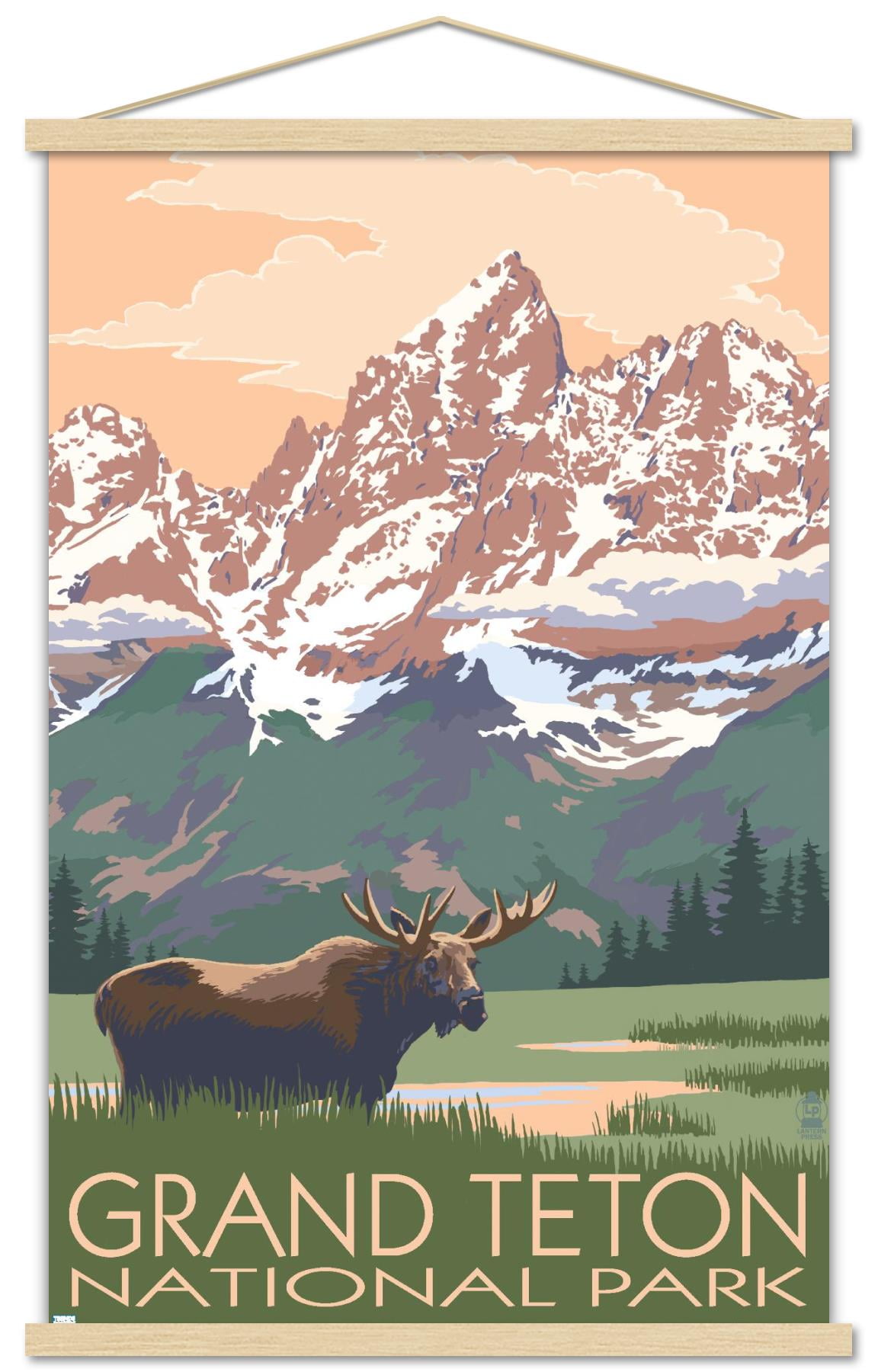 Lantern Press - Grand Teton National Park, Wyoming, Moose