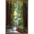thumbnail image 1 of Lantern Press - Muir Woods National Monument, California, Pathway Wall Poster, 14.725" x 22.375" Framed, 1 of 5