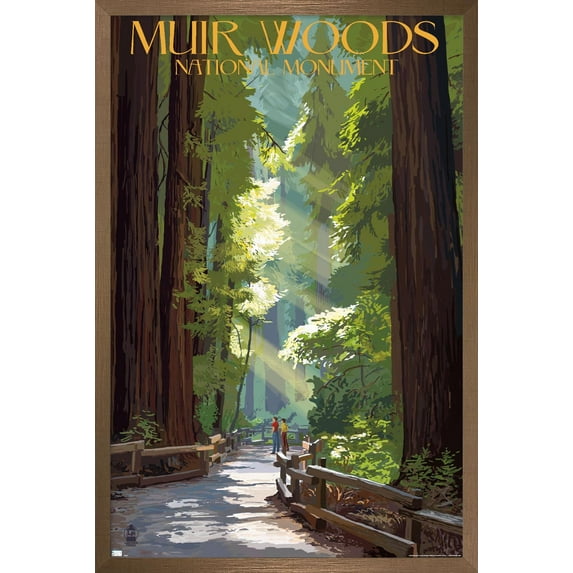 Lantern Press - Muir Woods National Monument, California, Pathway Wall Poster, 14.725" x 22.375" Framed