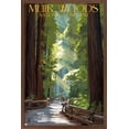 thumbnail image 1 of Lantern Press - Muir Woods National Monument, California, Pathway Wall Poster, 22.375" x 34" Framed, 1 of 5