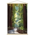 thumbnail image 1 of Lantern Press - Muir Woods National Monument, California, Pathway Wall Poster with Magnetic Frame, 22.375" x 34", 1 of 5
