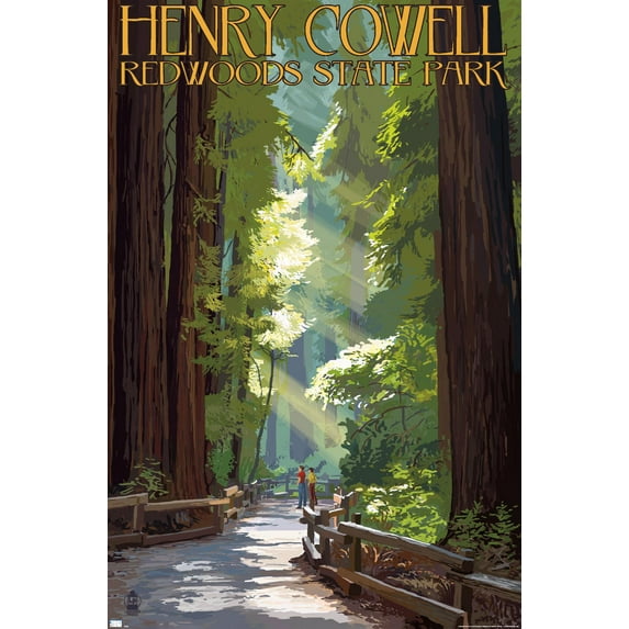 Lantern Press - Redwoods State Park, Henry Cowell, Pathway in Trees Wall Poster, 22.375" x 34"