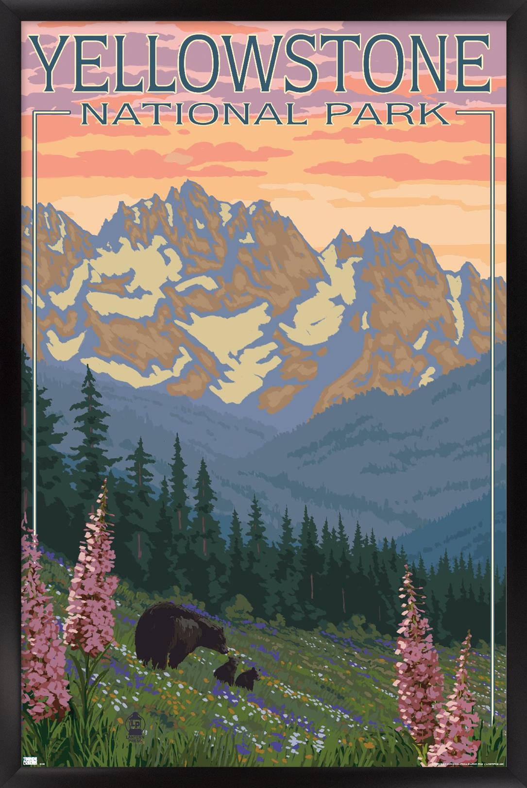 Lantern Press Yellowstone National Park, Wyoming, Spring Flowers Wall