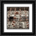 thumbnail image 1 of Lanterns - 1 2x Matted 20x20 Black Ornate Framed Art Print by Blaustein, Alan, 1 of 2