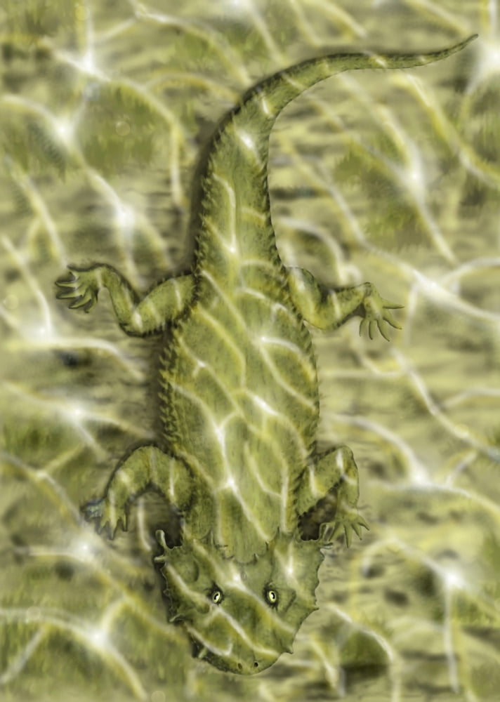 Lanthanosuchus an extinct genus of parareptile Canvas Art - Yuriy PriymakStocktrek Images (24 x 34)