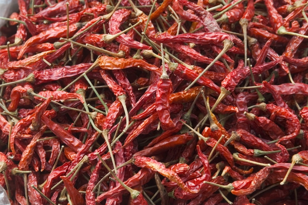 Laos Vang Vieng Closeup Of Chili Peppers At Street Market Canvas Art - Bill Brennan Design Pics (34 x 22)
