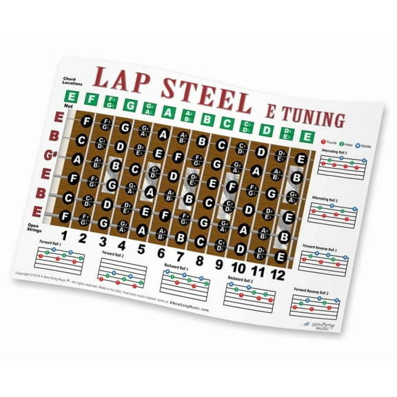 Lap Steel E Tuning Fretboard Note Chords & Rolls Poster 11x17