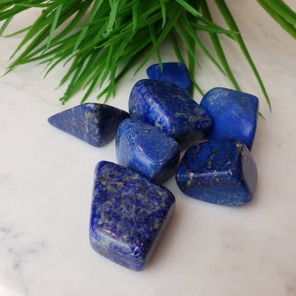 Crystal Joys 1 piece Lapis Lazuli Tumbled-AAA 1" - 1.25"