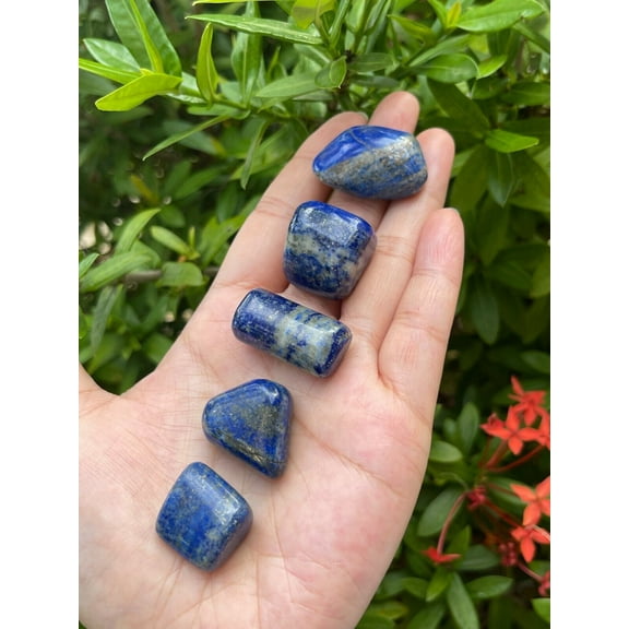 Lapis Lazuli Tumbled Stone, 0.75-1 Inch Lapis Crystals
