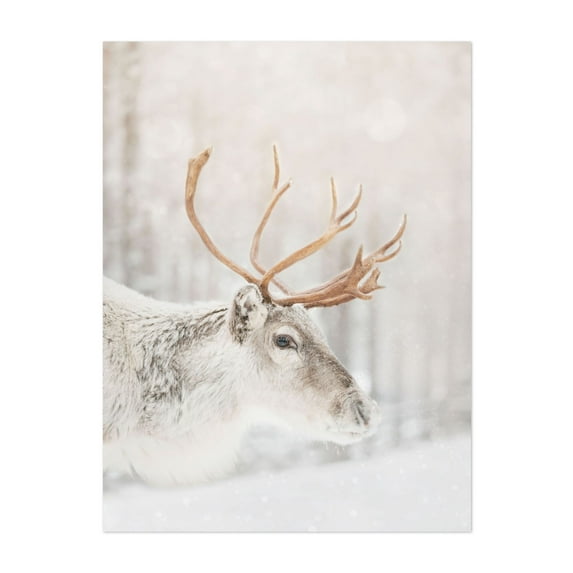 Lapland Reindeer - Lapland Finland Photography Winter Snow Wildlife Deer Nature Woodland Unframed Wall Art Print 22 x 28 inches