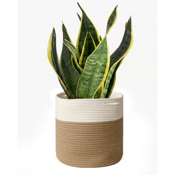 Laposso Beige Two-Tone Woven Planter 7 in Rattan-Style Indoor Outdoor Flower Pot