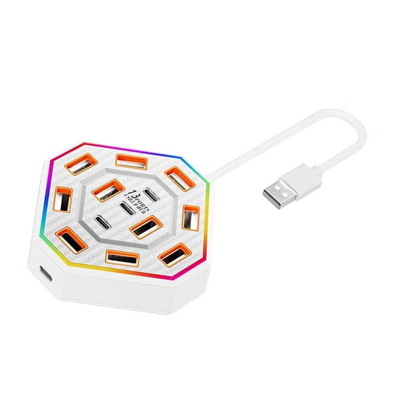 Laptop and Desktop USB Hub with 13 Ports, 12 USB-A and 1 Type-C Data Port, Splitter with Type C Power Input for Daily Setup