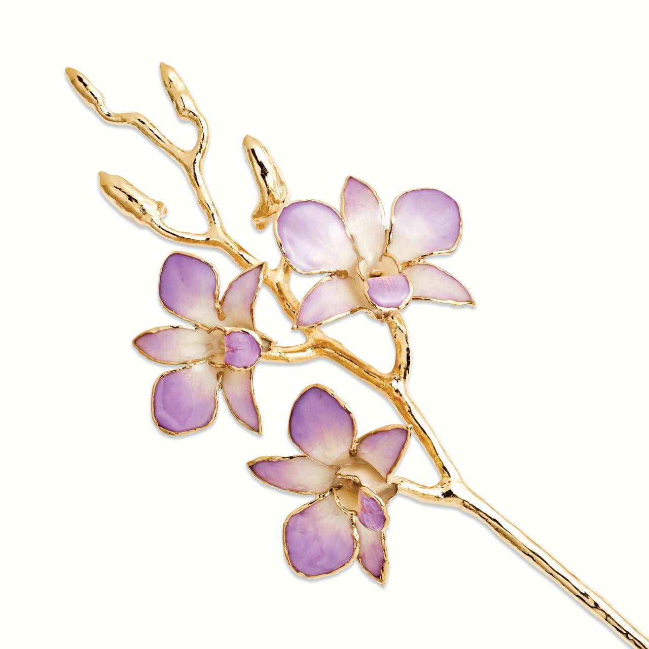 Lacquer Dipped 24k Gold Trimmed Lilac & White Orchid Stem Lacquer Dipped 24k Gold Trimmed Lilac & White Orchid Stem