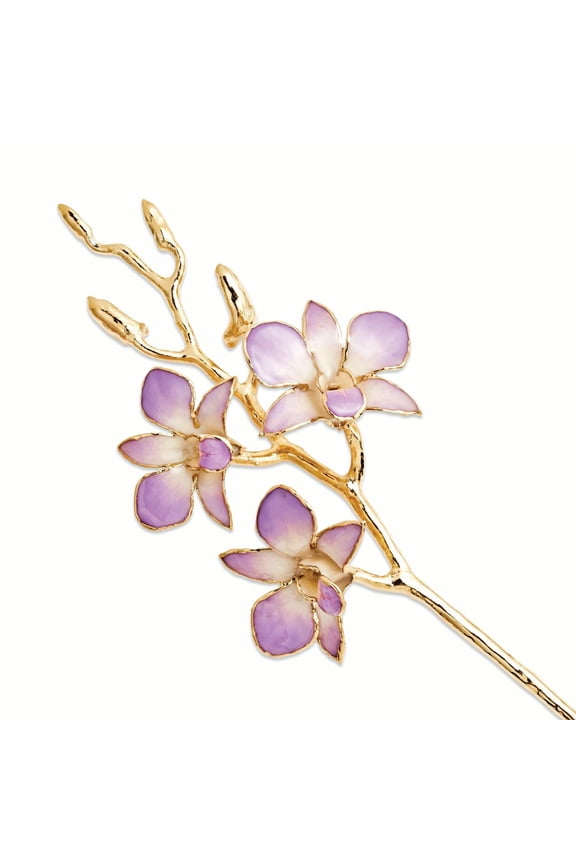 Laquer Dipped Gold Trimmed Lilac & White Orchid Stem